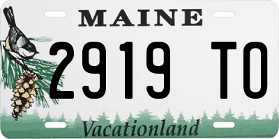 ME license plate 2919TO