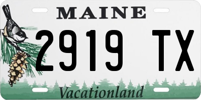 ME license plate 2919TX
