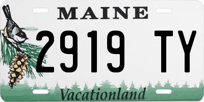 ME license plate 2919TY