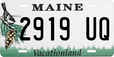 ME license plate 2919UQ