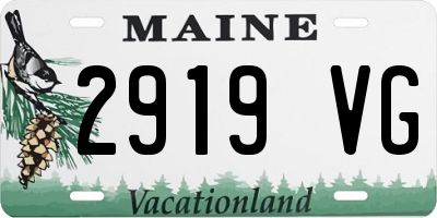 ME license plate 2919VG