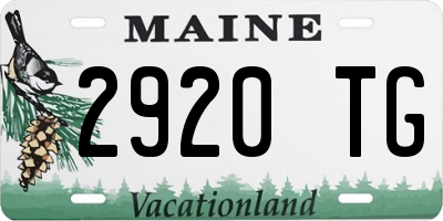 ME license plate 2920TG