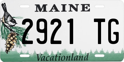 ME license plate 2921TG