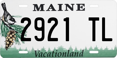 ME license plate 2921TL