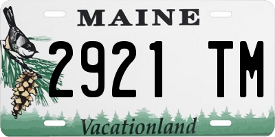 ME license plate 2921TM