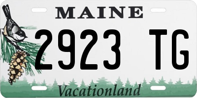 ME license plate 2923TG