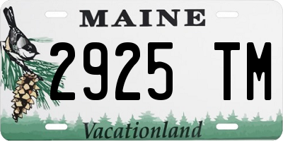 ME license plate 2925TM