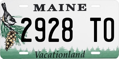 ME license plate 2928TO
