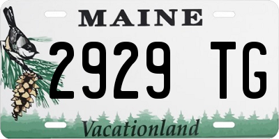 ME license plate 2929TG
