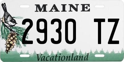 ME license plate 2930TZ
