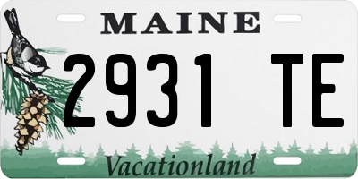 ME license plate 2931TE