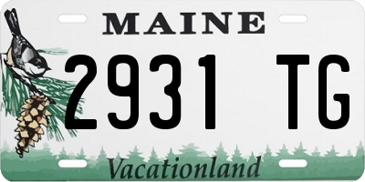ME license plate 2931TG