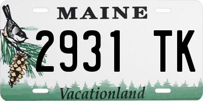 ME license plate 2931TK