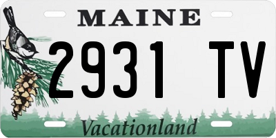 ME license plate 2931TV