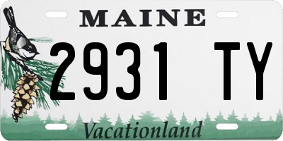 ME license plate 2931TY