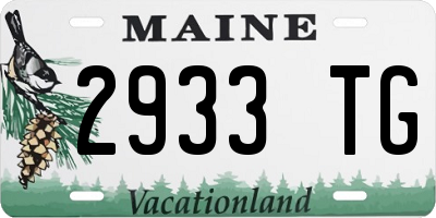 ME license plate 2933TG
