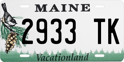 ME license plate 2933TK