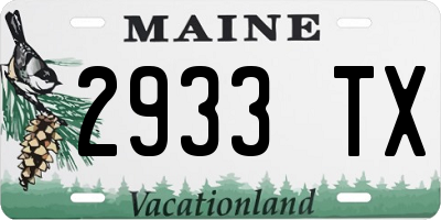 ME license plate 2933TX