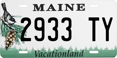 ME license plate 2933TY