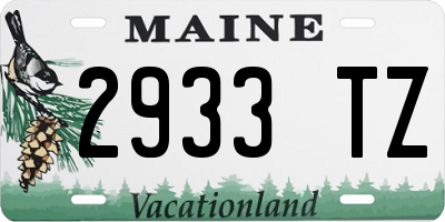 ME license plate 2933TZ