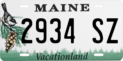 ME license plate 2934SZ