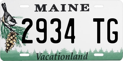 ME license plate 2934TG