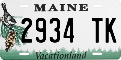 ME license plate 2934TK