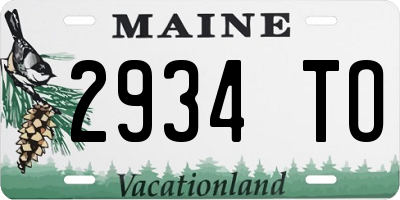 ME license plate 2934TO