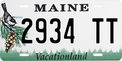 ME license plate 2934TT