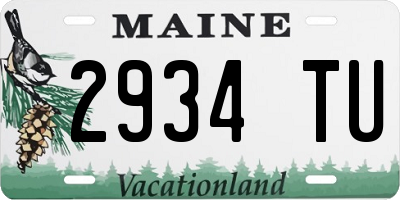 ME license plate 2934TU