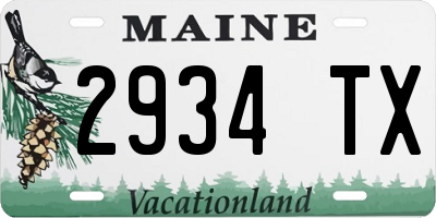 ME license plate 2934TX