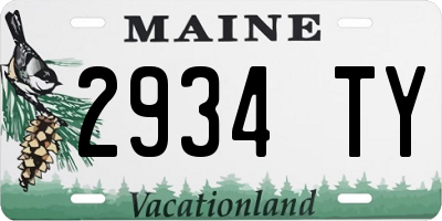 ME license plate 2934TY