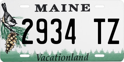 ME license plate 2934TZ