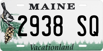 ME license plate 2938SQ