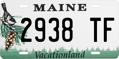 ME license plate 2938TF