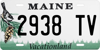 ME license plate 2938TV