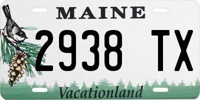 ME license plate 2938TX