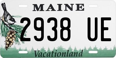 ME license plate 2938UE