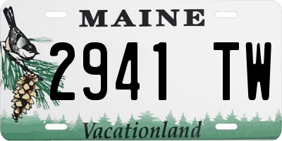 ME license plate 2941TW