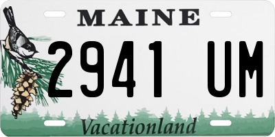 ME license plate 2941UM