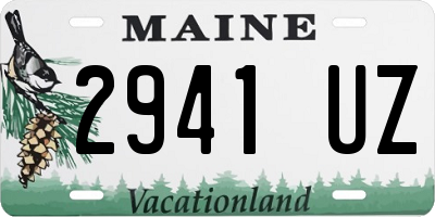 ME license plate 2941UZ