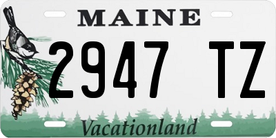 ME license plate 2947TZ