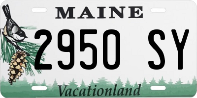 ME license plate 2950SY