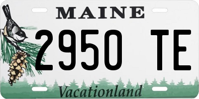 ME license plate 2950TE