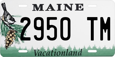 ME license plate 2950TM