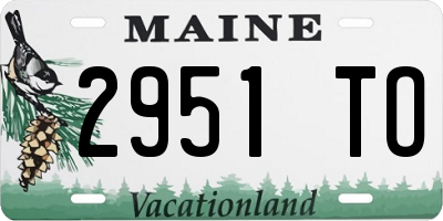 ME license plate 2951TO