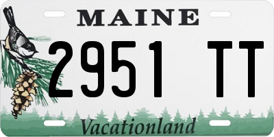 ME license plate 2951TT
