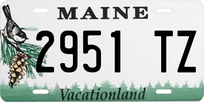 ME license plate 2951TZ