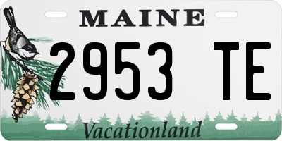ME license plate 2953TE
