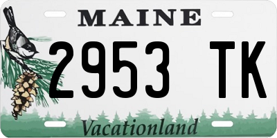 ME license plate 2953TK